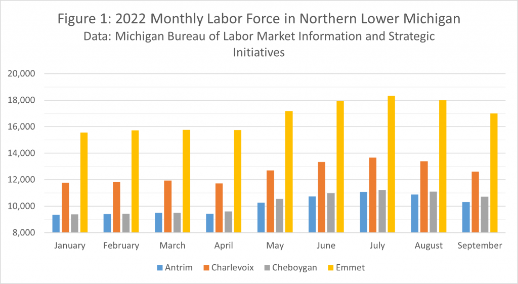 NLEA Fig 1 - Monthly Labor Force Northern Michigan